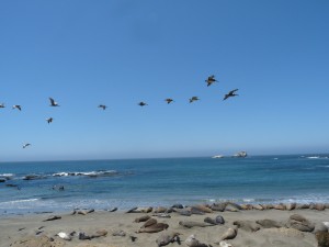 P1070291